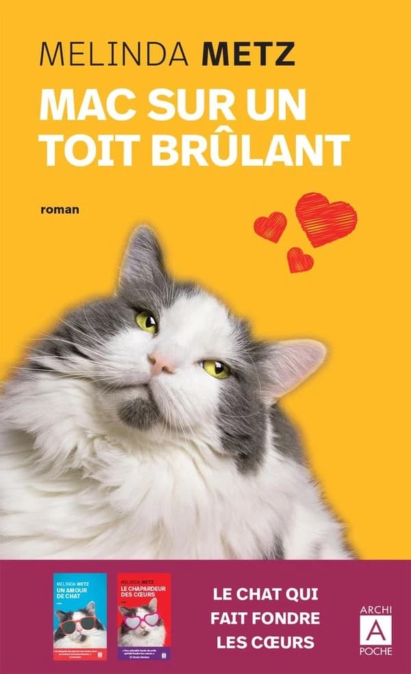 Mac sur un toit brûlant