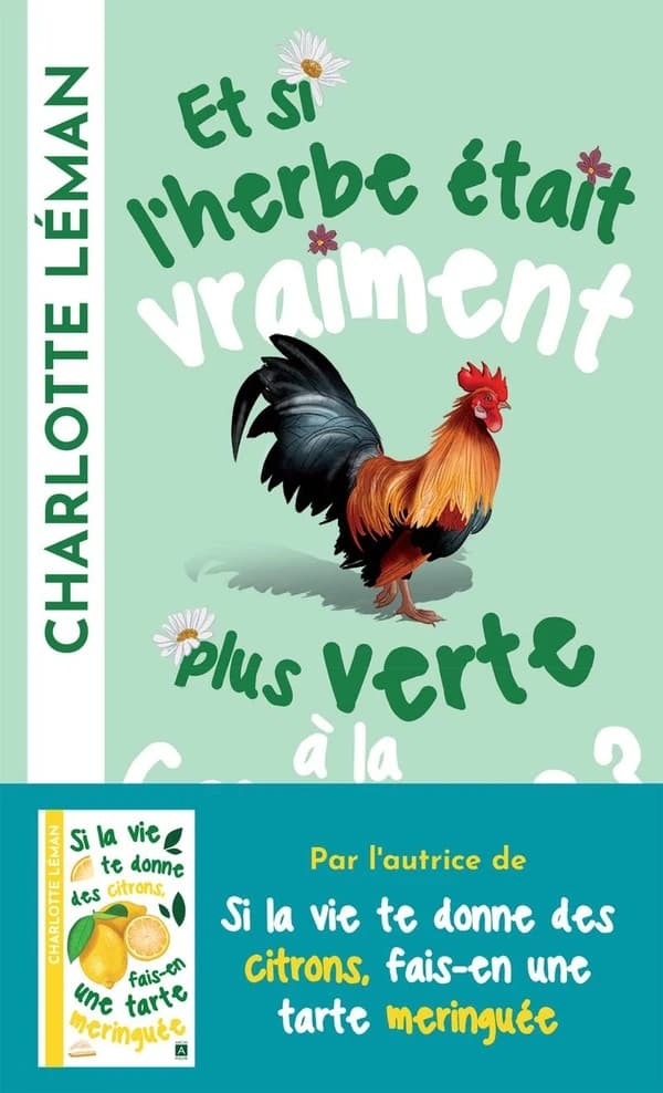 Et si l'herbe était vraiment plus verte à la campagne ? : roman
