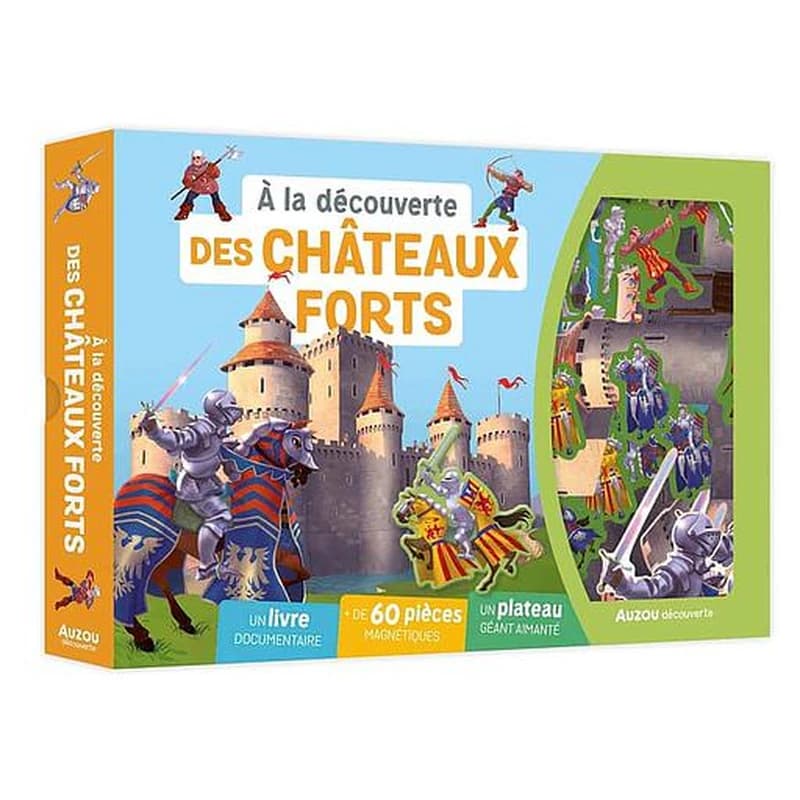 à la découverte des châteaux forts