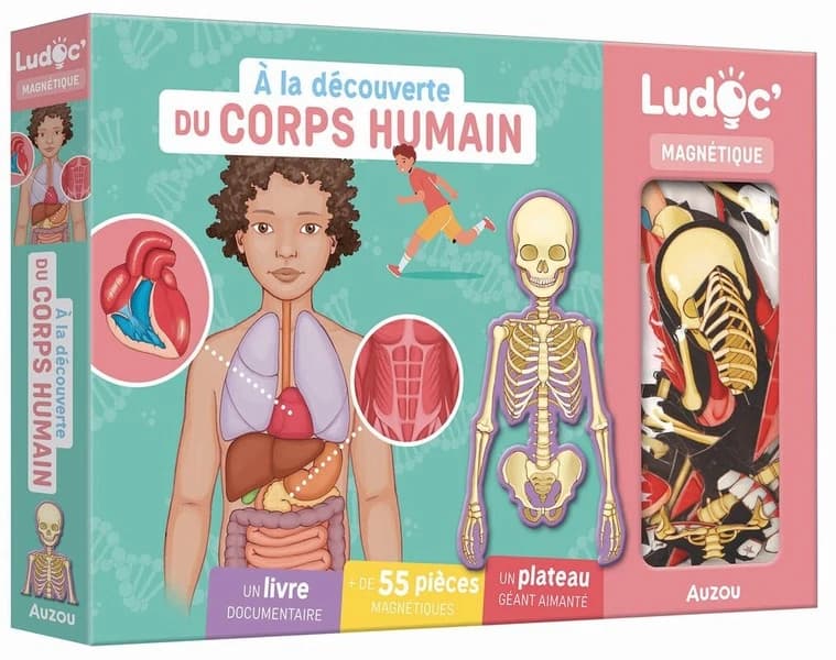 A la découverte du corps humain : Coffret avec 1 livre documentaire, + de 55 pièces magnétiques et 1 plateau géant aimanté