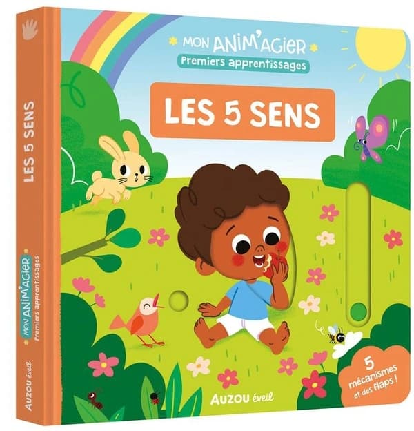 Les 5 sens