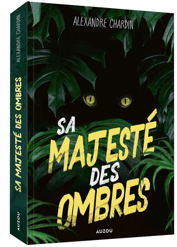 Sa majasté des ombres