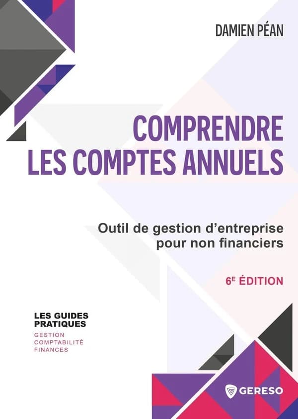 Comprendre les comptes annuels : outil de gestion d'entreprise pour non financiers (6e éd.) Damien Péan