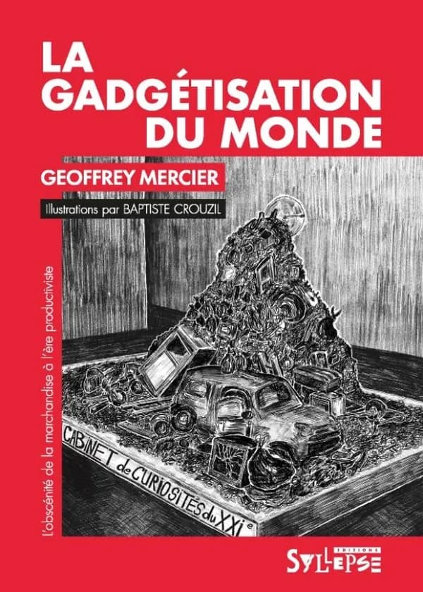 La gadgétisation du monde : l'obscénité de la marchandise à l'ère productiviste