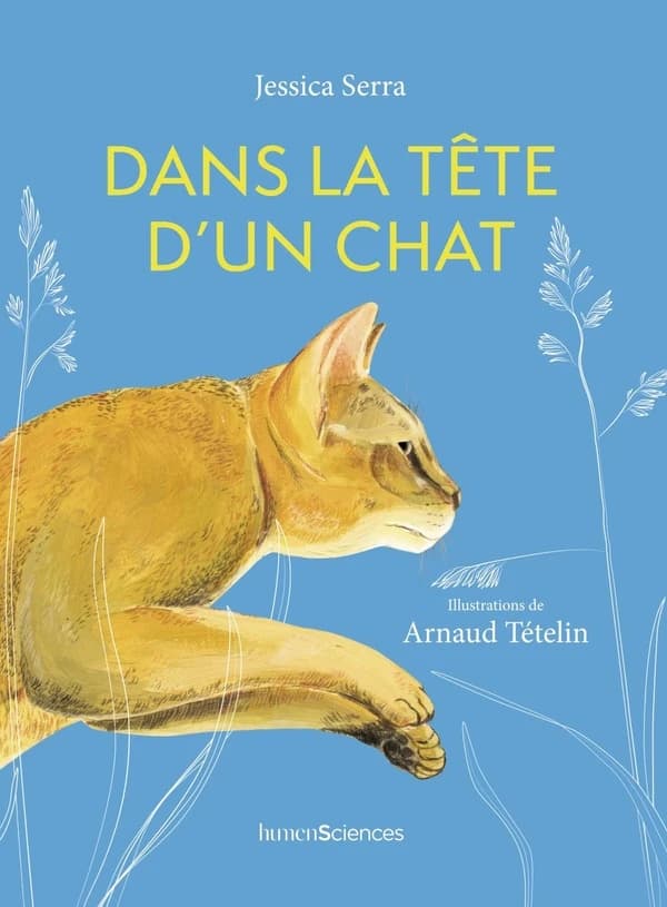 Dans la tête d'un chat