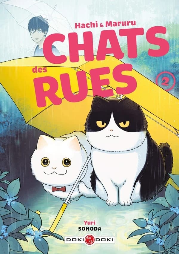Chats des rues : Hachi & Maruru. 2