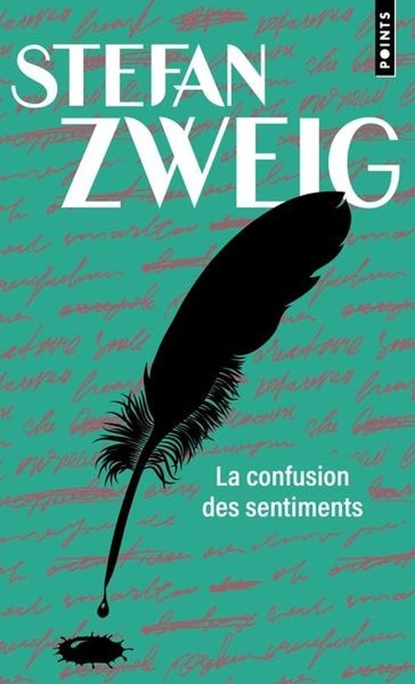 La confusion des sentiments : notes intimes du professeur