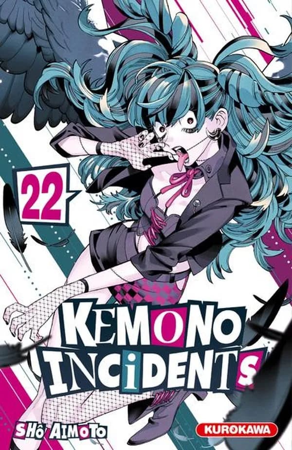 Kemono incidents. 22