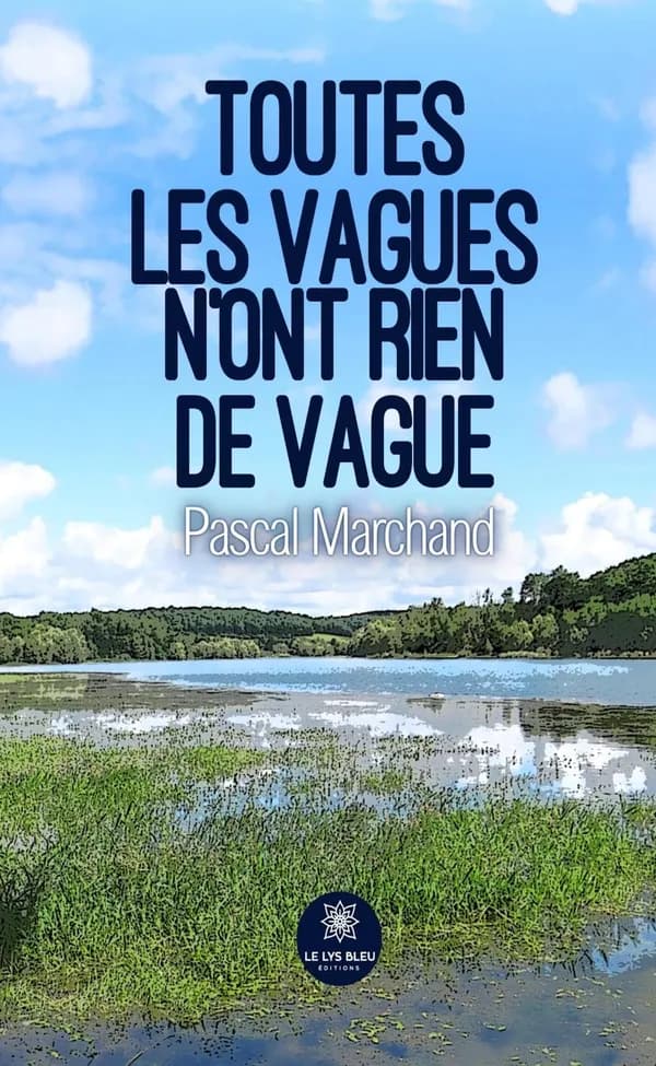 Toutes les vagues n'ont rien de vague : roman