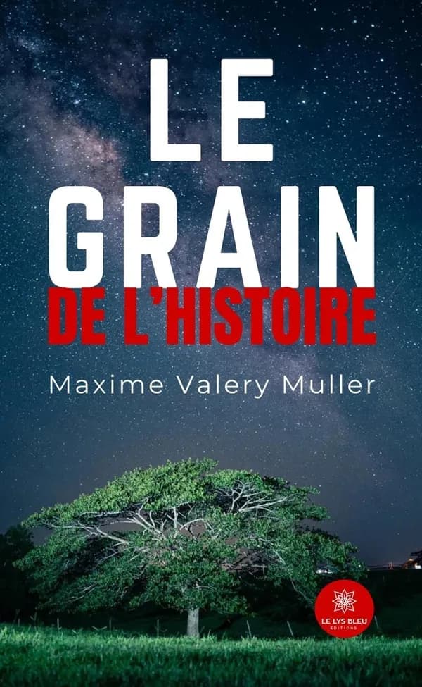 Le grain de l'histoire : essai