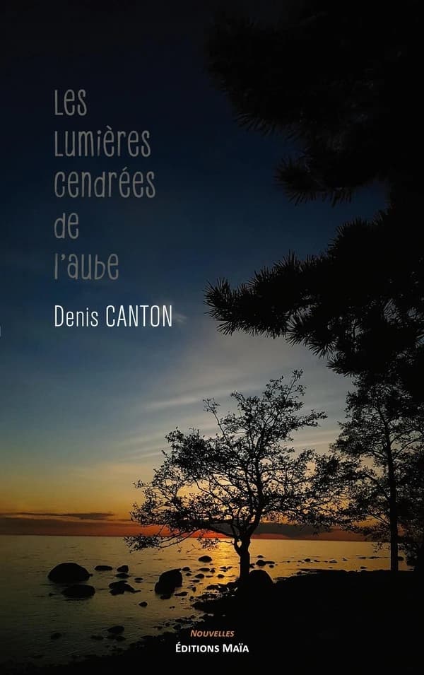 Les lumières cendrées de l'aube