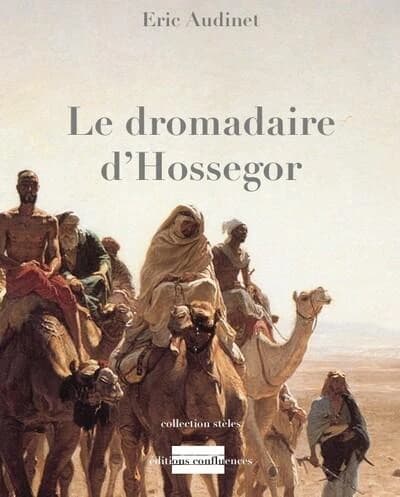 Le dromadaire d'Hossegor : récit