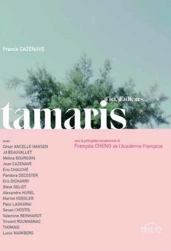 Tamaris : d'ici et d'ailleurs