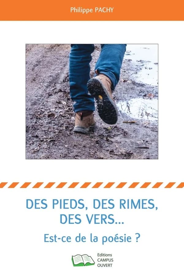 Des pieds, des rimes, des vers : est-ce de la poésie ?