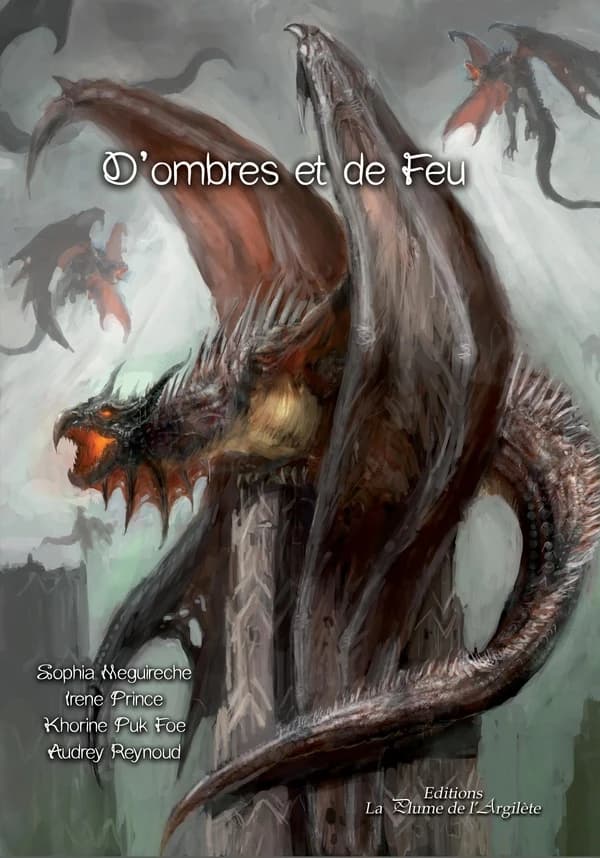 D'ombres et de feu : histoires de dragons