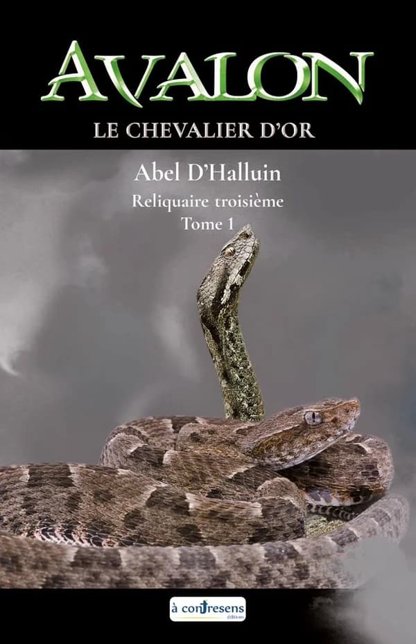 Le chevalier d'or. Tome 1