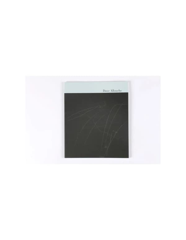 Dove Allouche, Point triple : [exposition, Paris, Centre national d'art et de culture Georges Pompidou], Galerie d'art graphique, 26 juin-9 septembre 2013