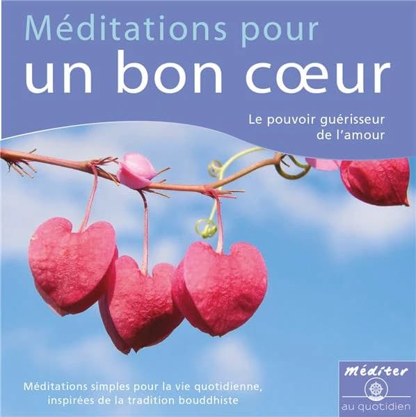 Méditations pour un bon coeur ; le pouvoir guérisseur de l'amour