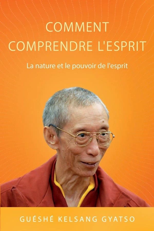 Comment comprendre l'esprit : la nature et le pouvoir de l'esprit (3e éd.) vénérable guéshé Kelsang Gyatso rinpotché