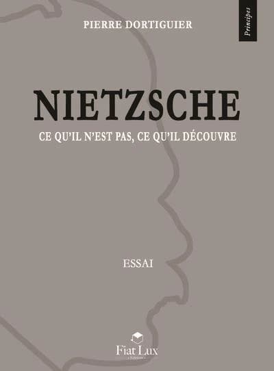 Nietzsche : ce qu'il n'est pas, ce qu'il découvre