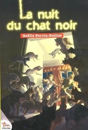 La nuit du chat noir : roman