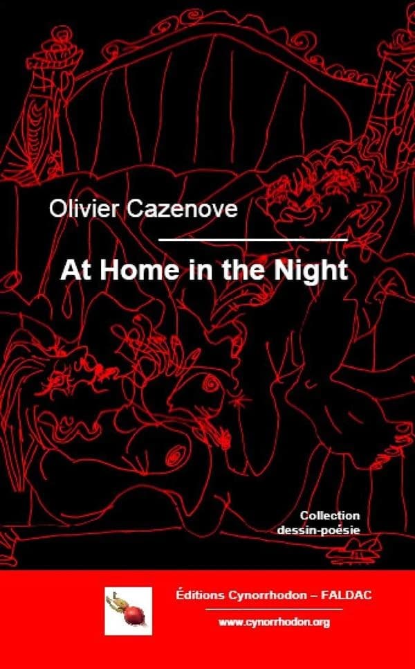 At home in the night