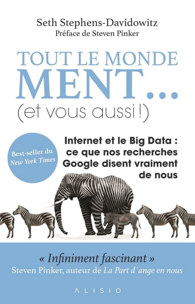 Tout le monde ment, et vous aussi ! : internet et le big data, ce que nos recherches Google disent vraiment de nous