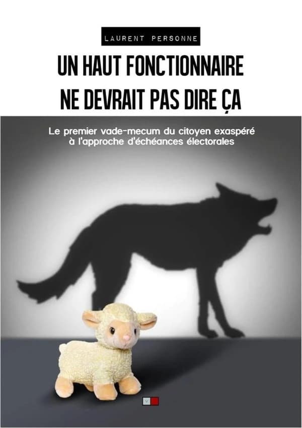 Un haut fonctionnaire ne devrait pas dire ça : lettre ouverte d'un citoyen exaspéré aux candidats