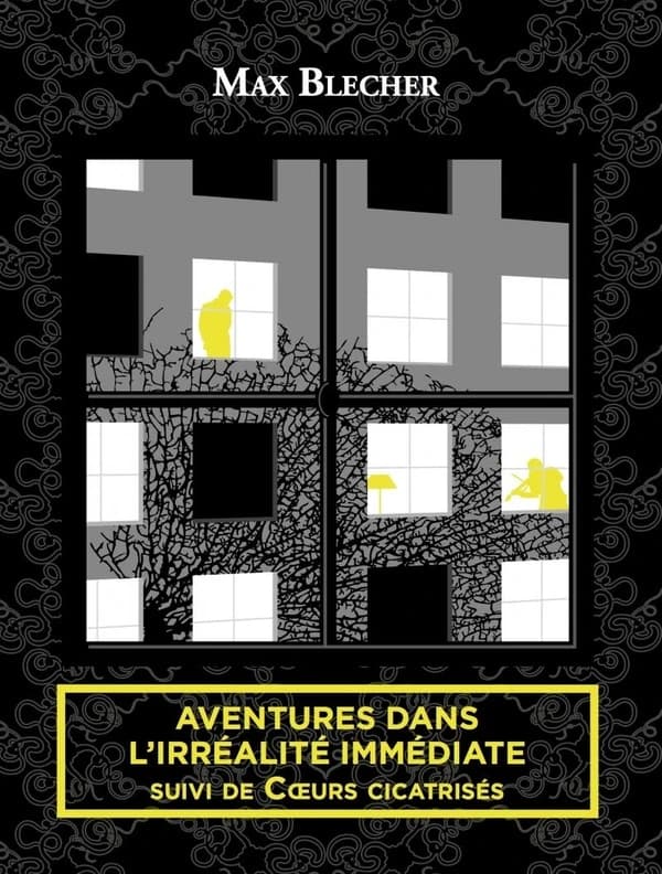 Aventures dans l'irréalité immédiate ; suivi de Coeurs cicatrisés