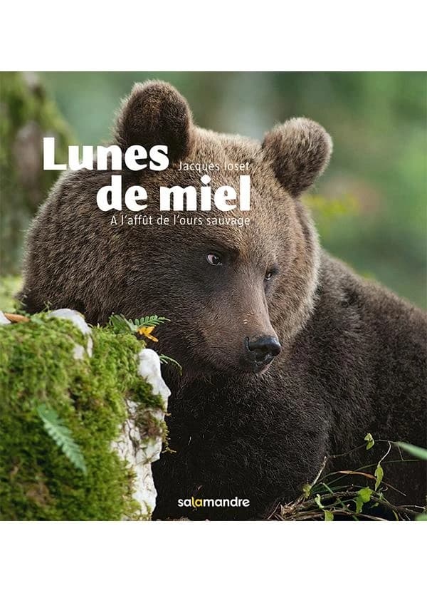 Lunes de miel : à l'affût de l'ours sauvage