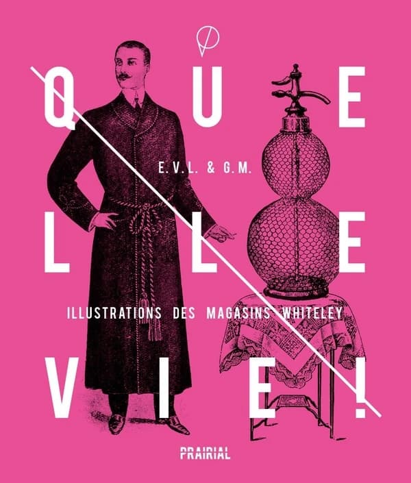 Quelle vie ! : une autobiographie
