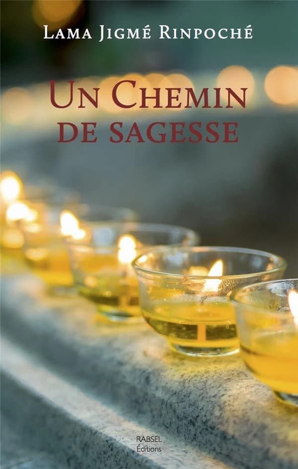 Un chemin de sagesse (2e éd.) lama Jigmé rinpoché ; traduit de l'anglais par Audrey Desserrières