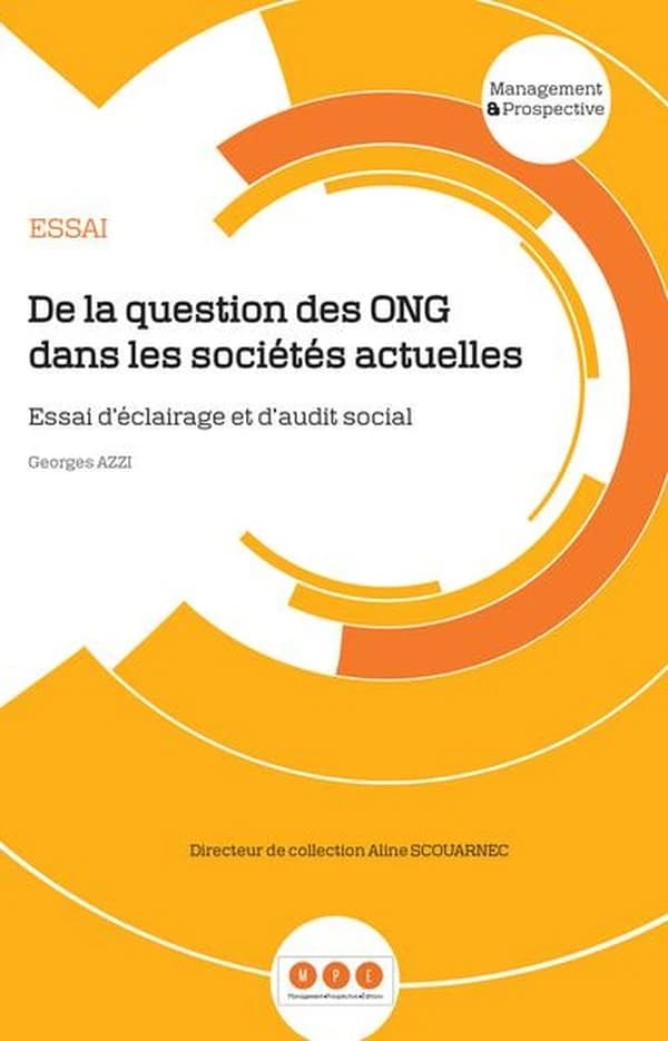 De la question des ONG dans les sociétés actuelles : essai d'éclairage et d'audit social