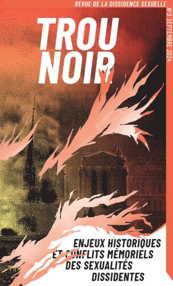 Trou Noir T03 : Enjeux historiques et conflits mémoriels des sexualités dissidentes