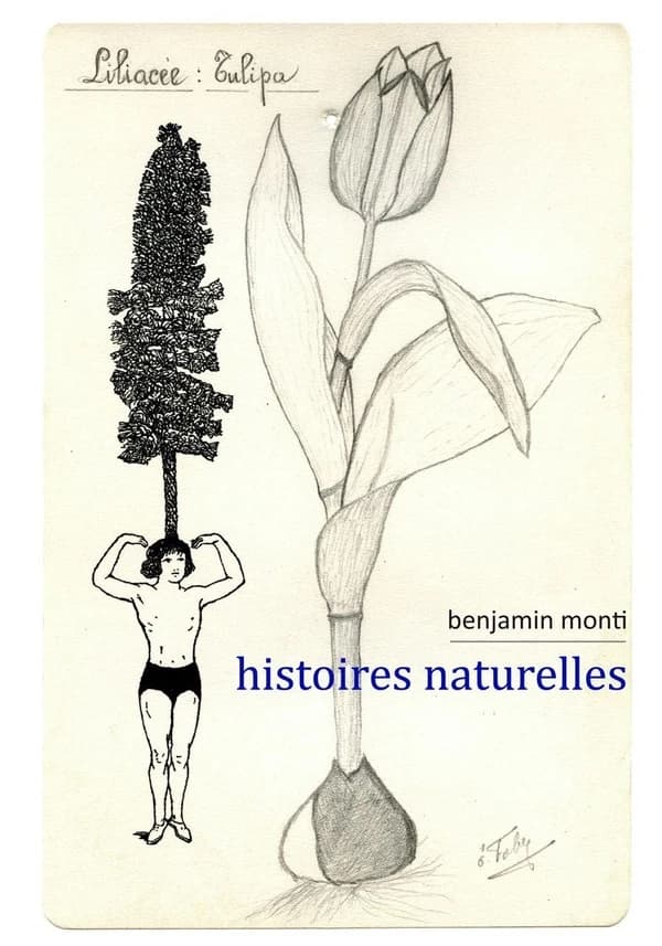 Histoires naturelles : [Album ou portfolio de reproductions]