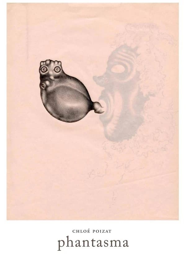 Phantasma : [portfolio de reproductions]