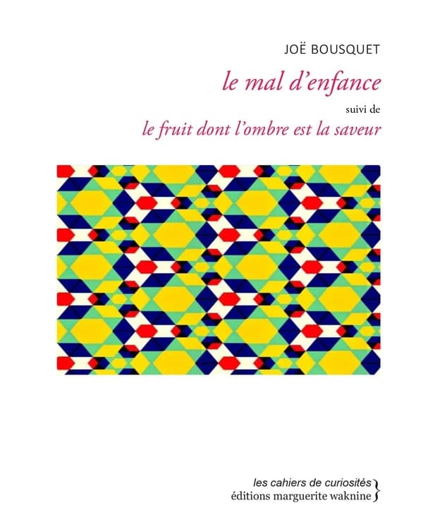 Le mal d'enfance ; suivi de Le fruit dont l'ombre est la saveur