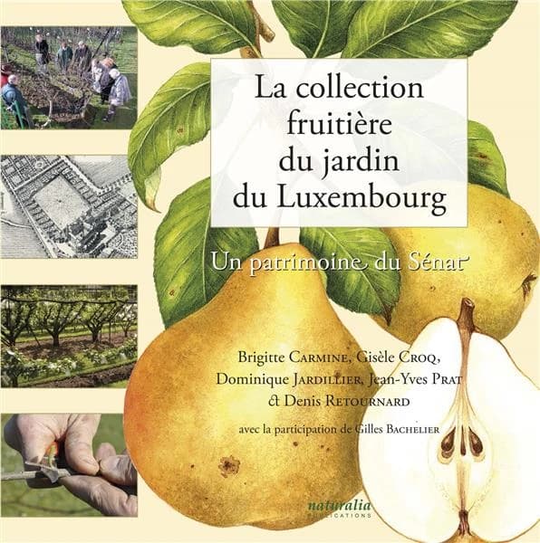 La collection fruitière du jardin du Luxembourg : un patrimoine du Sénat