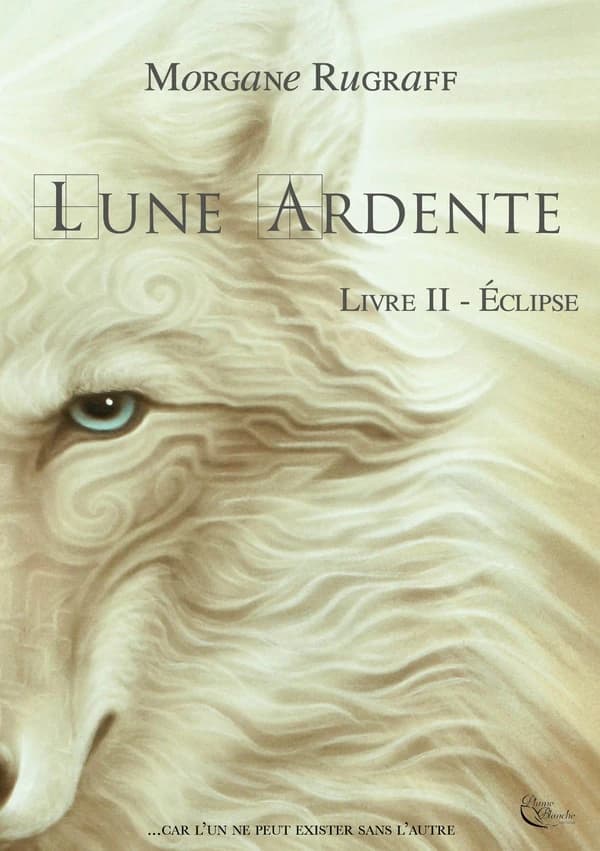 Éclipse : roman