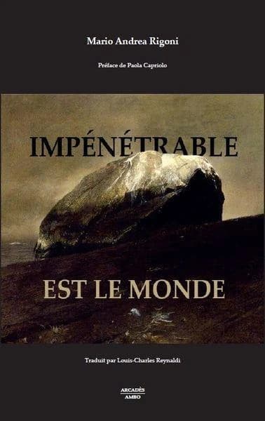 Impénétrable est le monde : aphorismes et fragments