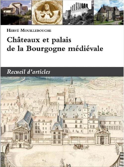 Châteaux et palais de la Bourgogne médiévale : recueil d'articles