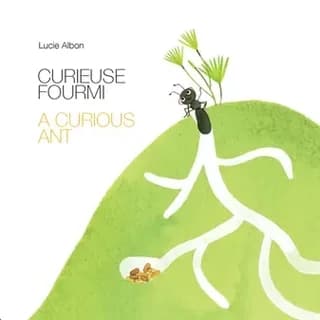 Curieuse fourmi