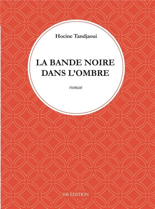 La bande noire dans l'ombre : roman
