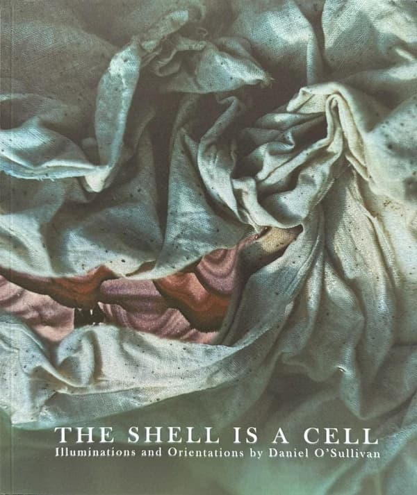 The Shell is a Cell : Illuminations and Orientations