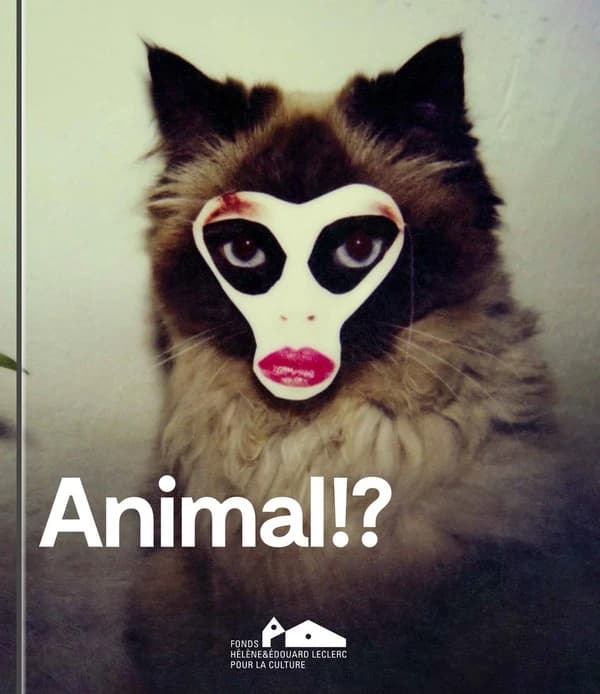 Animal ! ? : [exposition, Landerneau, les Capucins 14 juin-2 novembre 2025]
