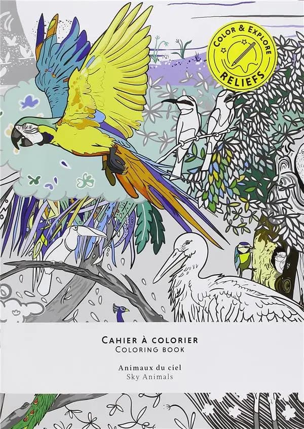 Animaux du ciel ; cahier à colorier