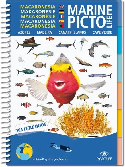 Marine pictolife : Macaronesia : Azores, Madeira, Canary islands, Cape verde