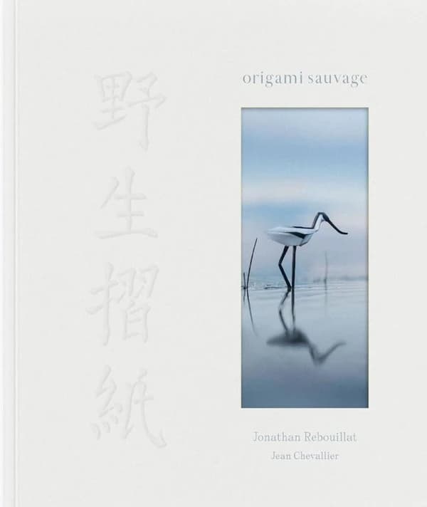 Origami sauvage