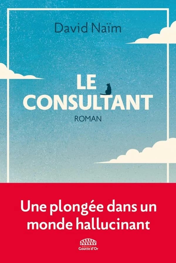 Le consultant : roman