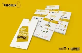 Dans laquelle on braque Labanque, centre de production et diffusion en arts visuels